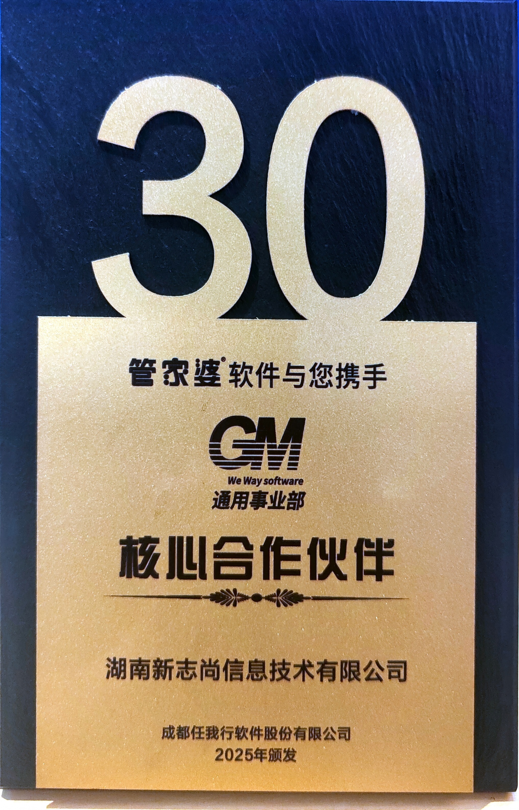 2025通用事业部核心合作伙伴